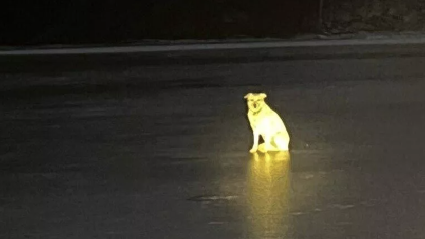    Госкомитет РБ по ЧС/Telegram