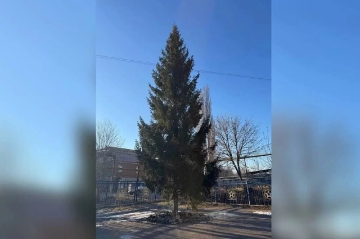    В уфимской Нижегородке завершили установку новогодней ели высотой 18 метров