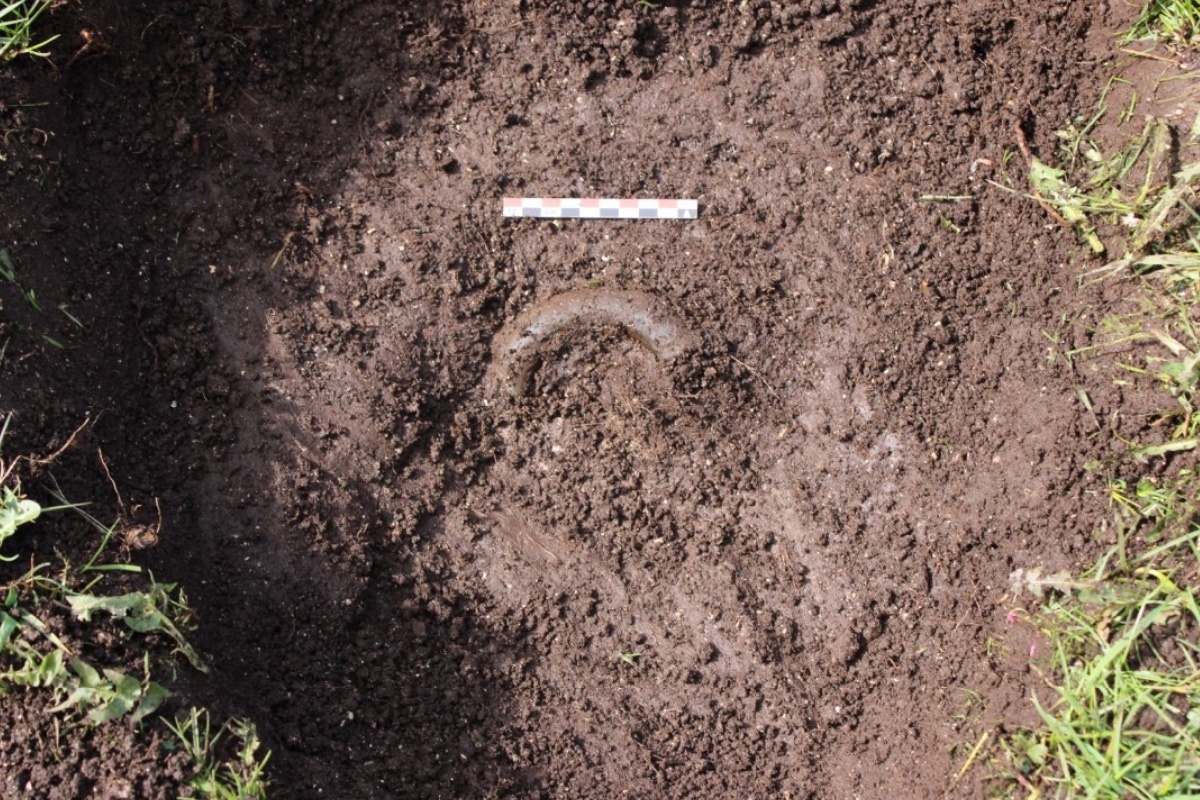 Музейное объединение ROMU📷Найденные предметы относятся к бронзовому и железному векам