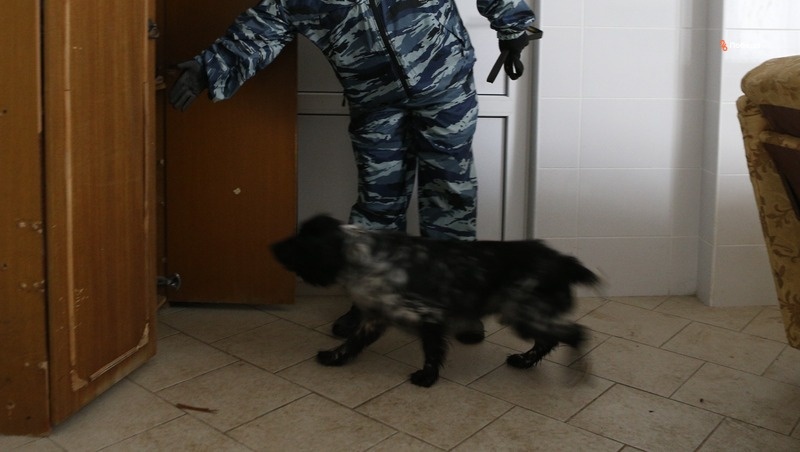      Фото: ИА «Победа26»