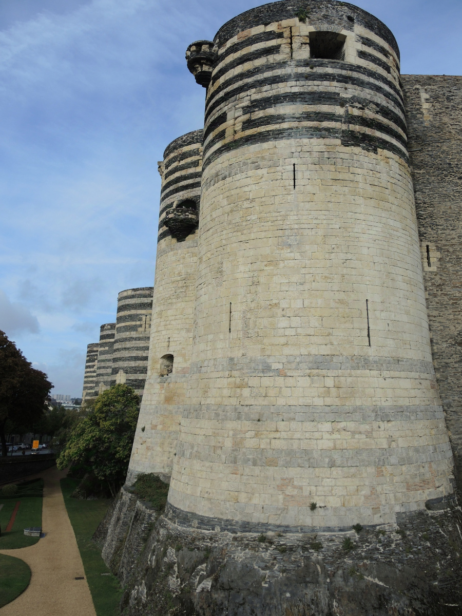 Про слоновьи ноги ассоциация не на пустом месте возникла ☺️ 