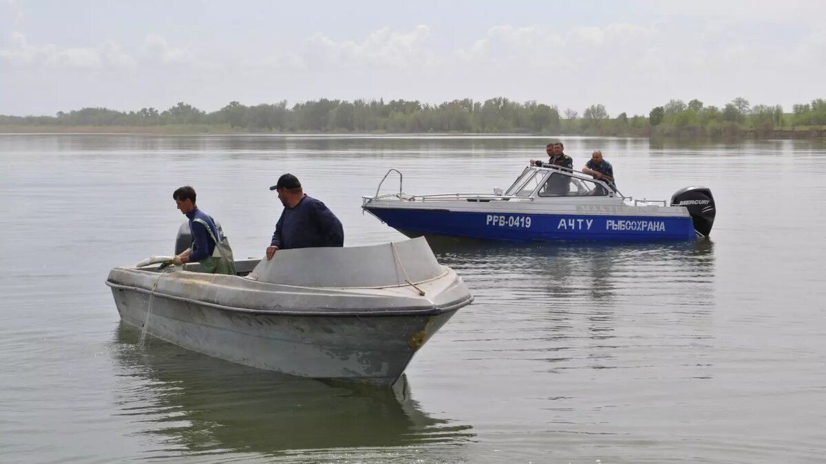     Автор: donland.ru