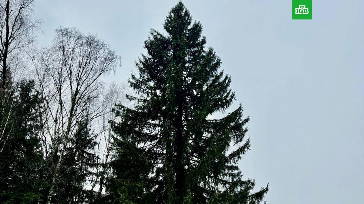    Фото: udprusfed / t.me