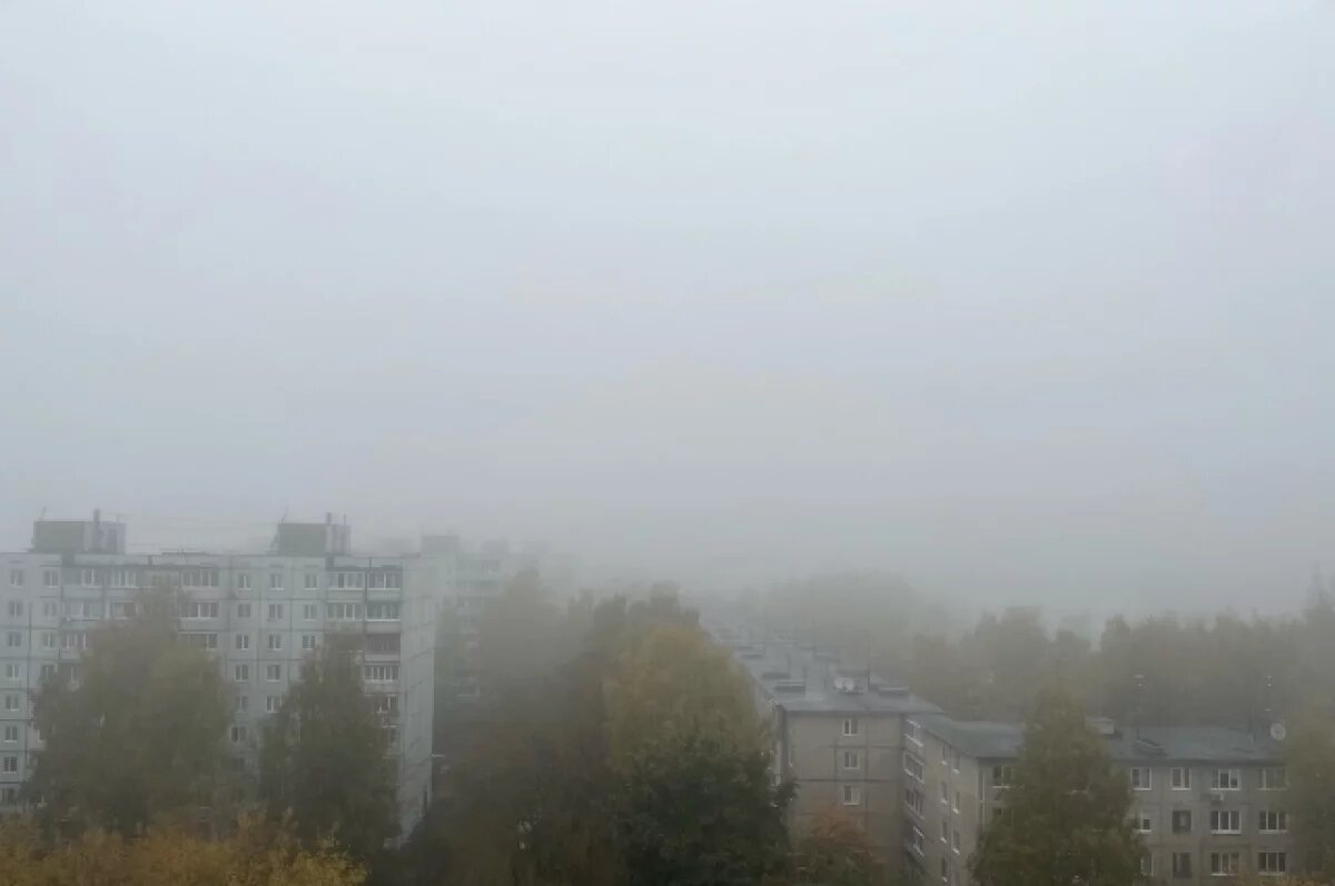    В Татарстане из-за тумана сильно ухудшится видимость