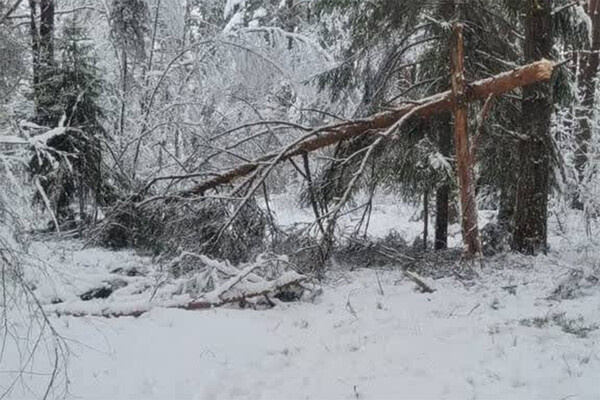 Телеграм-канал «Осторожно, новости»