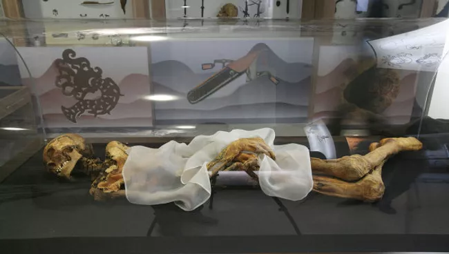 Мумия принцессы Укока. Фото: РИА Новости / Алексей Ефимов