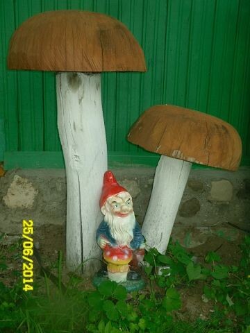 грибы из дерева.. фото автора