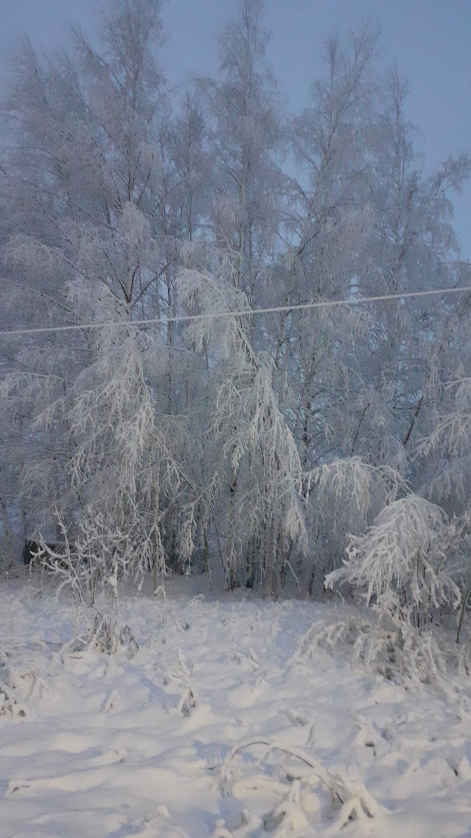 Вот таким снегом накрыло нас с воскресения на понедельник , пока ещё не расстаял.