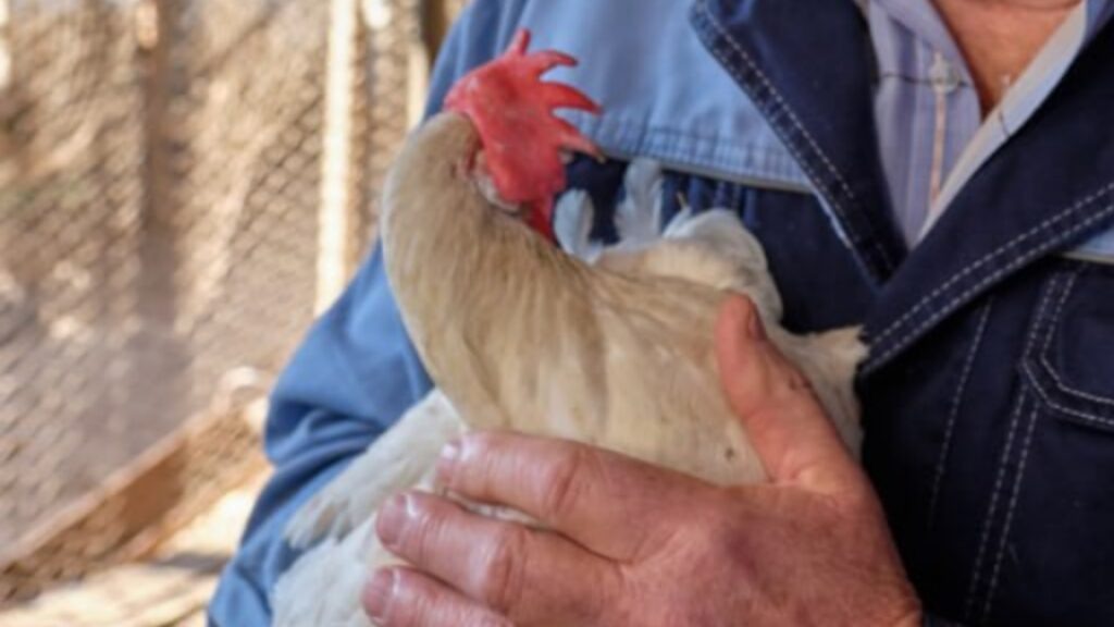    Фото "Голоса правды"