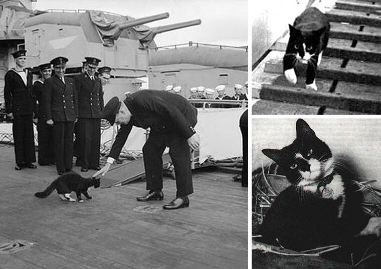 Коллаж с m.fishki