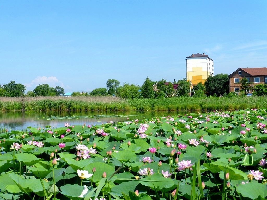 Фото из интернета