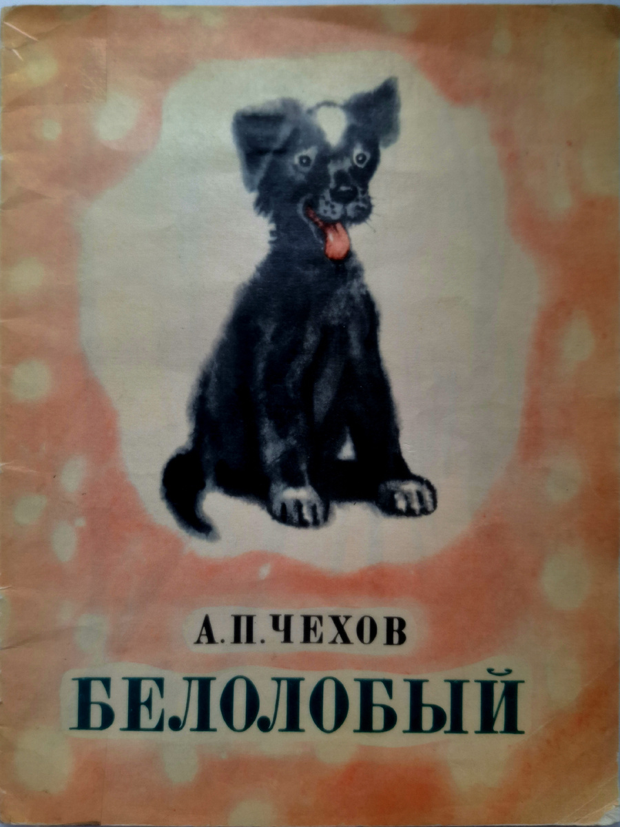 Обложка книги, все фото автора