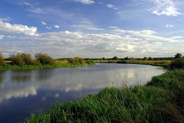 Источник фото: https://rg62.info