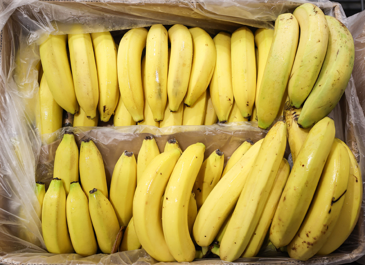 Фото: Александр Рюмин/ТАСС