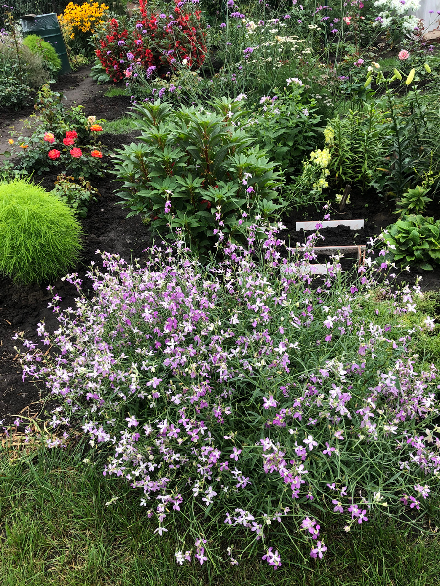  летняя клумба которой требуется реставрация. 