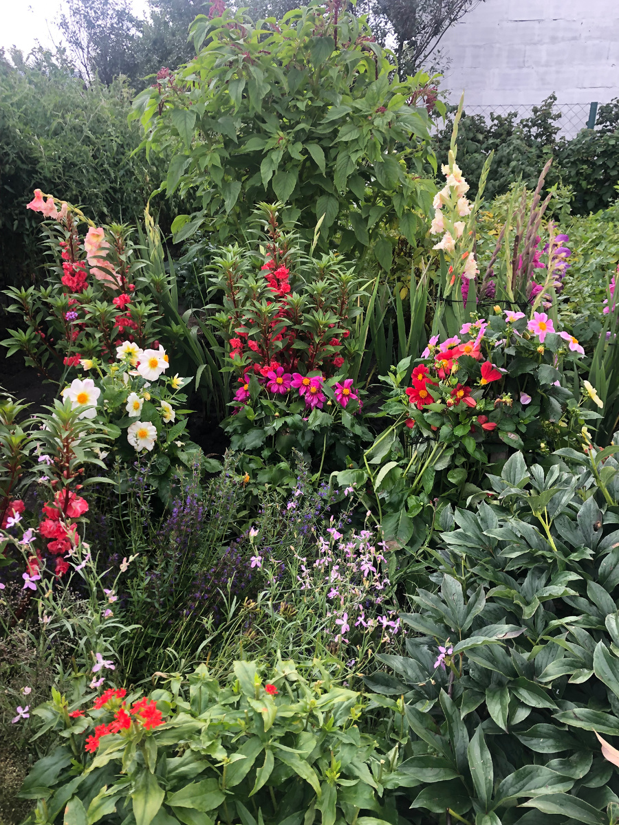 клумба, все фото автора