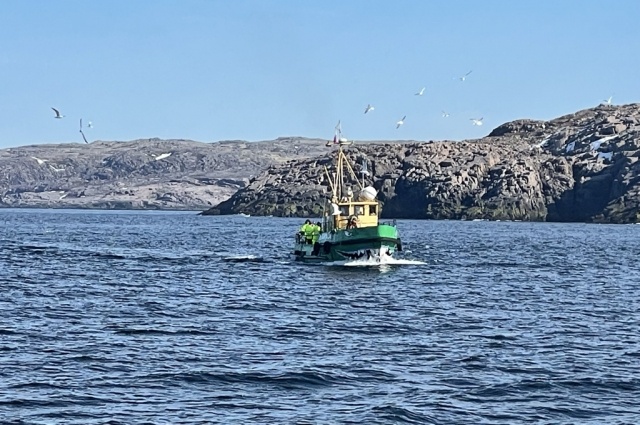    Фото:  АиФ/ Александра Михова