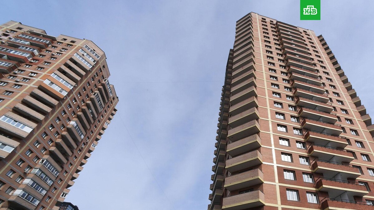    Фото: РИА Новости © 2024, Виталий Аньков