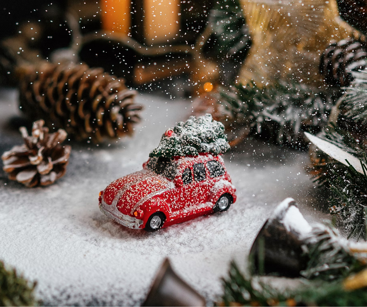 Фото: @kikimora33 / Unsplash.com