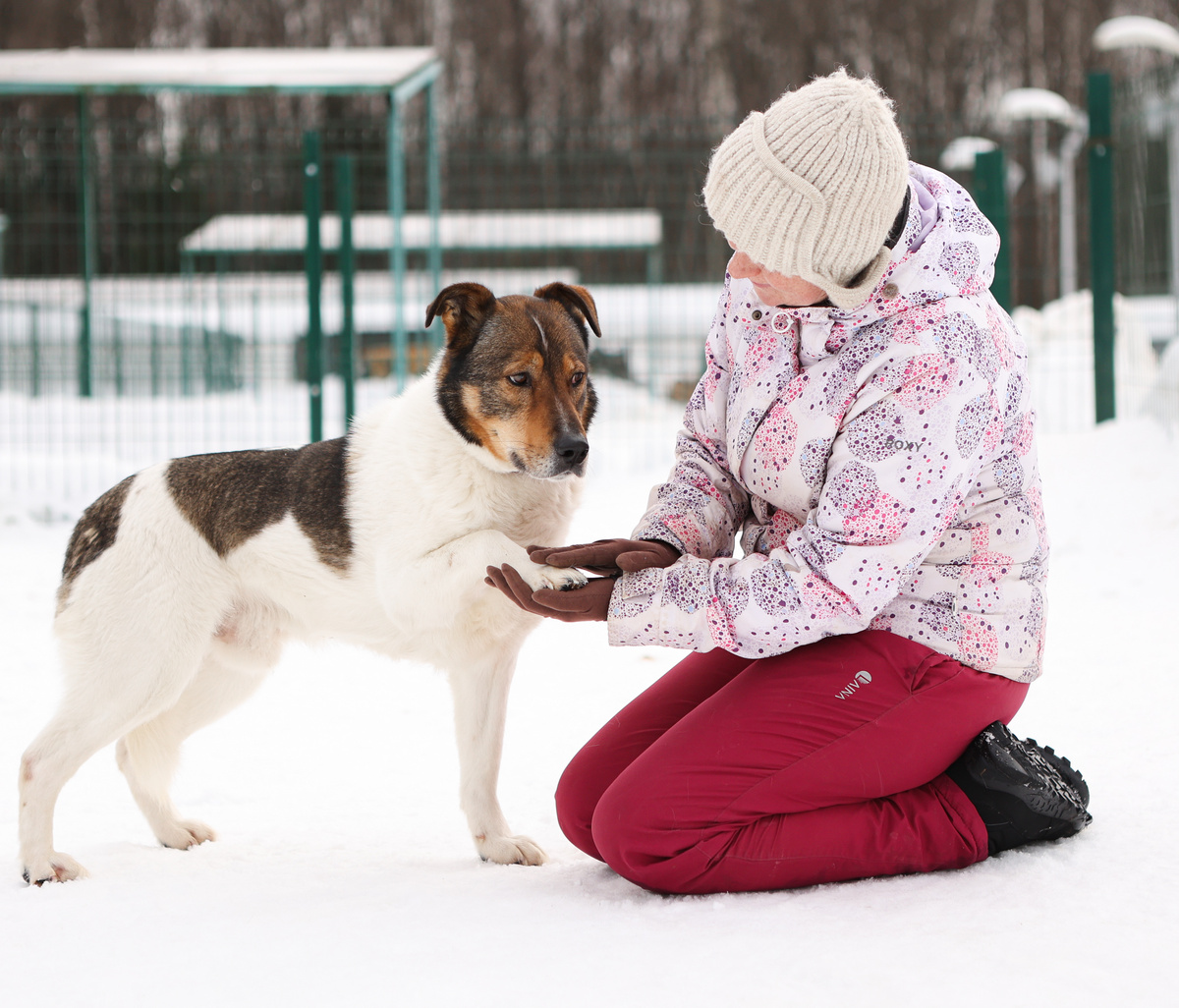 Я просто стеснительно ждал, когда меня возьмут за лапку и поведут на поводке
