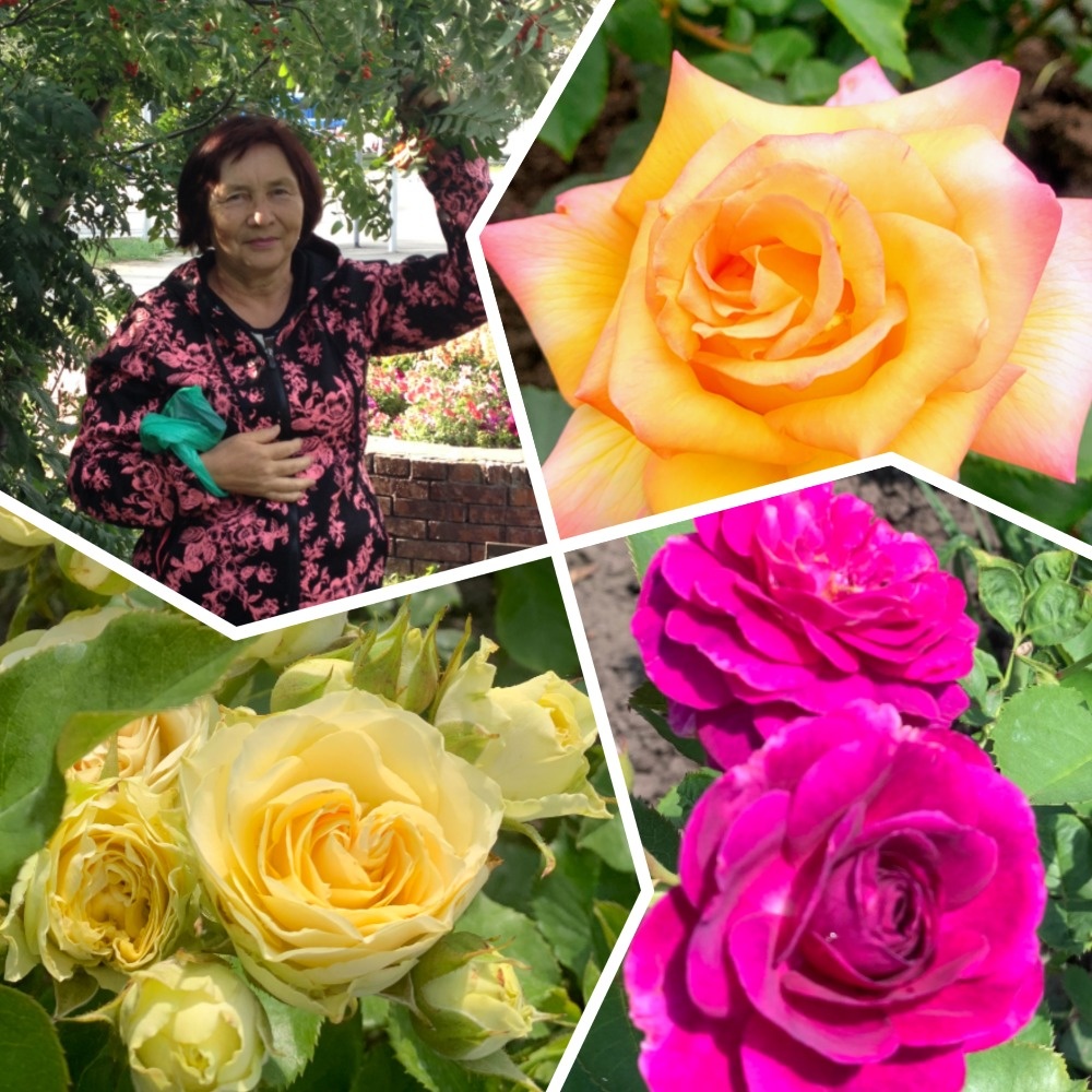 коллаж автора