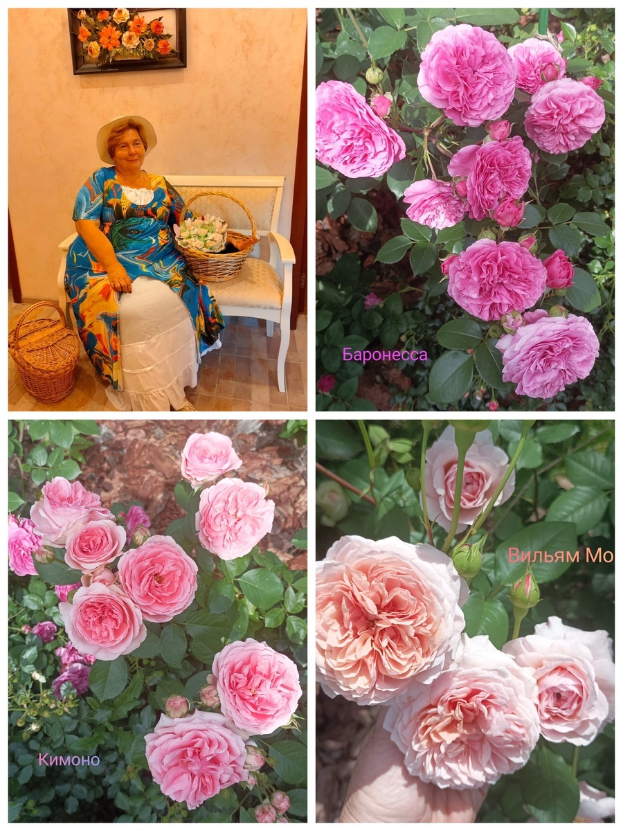 Коллаж Татьяны