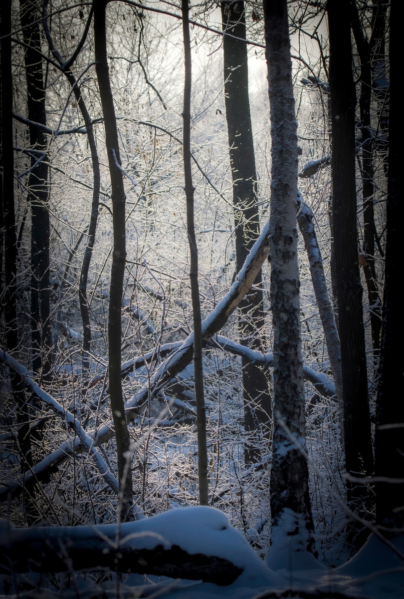 Зимние залы