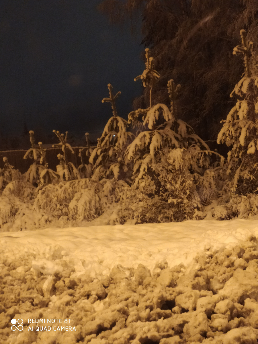 Фото сделано на трассе по дороге в больницу