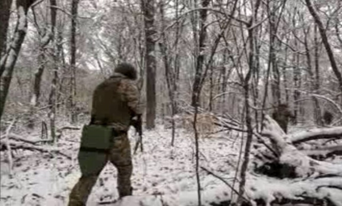    Минобороны показало работу спецподразделения морпехов в Курском приграничье