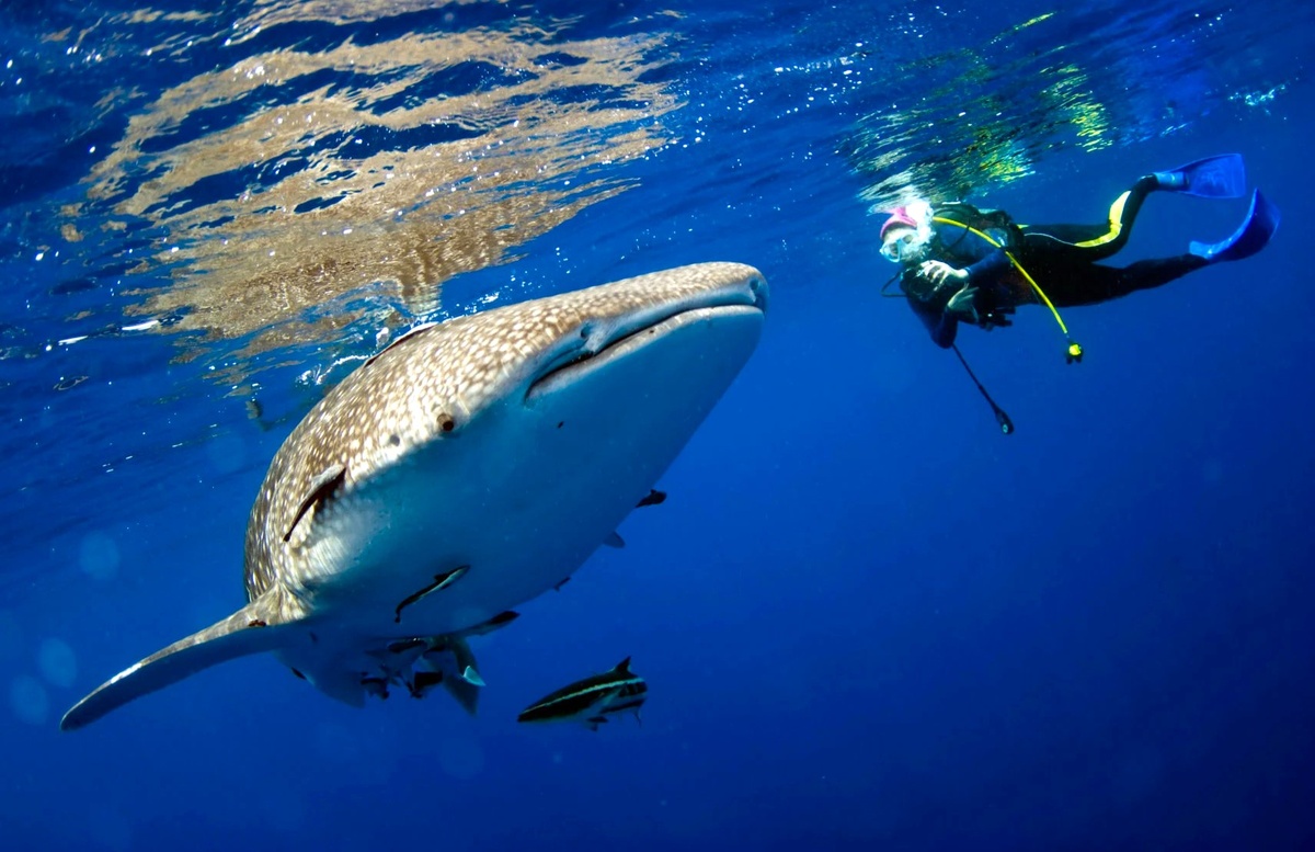 Природа Таиланда невероятно разннобразна, что радует местных и туристов