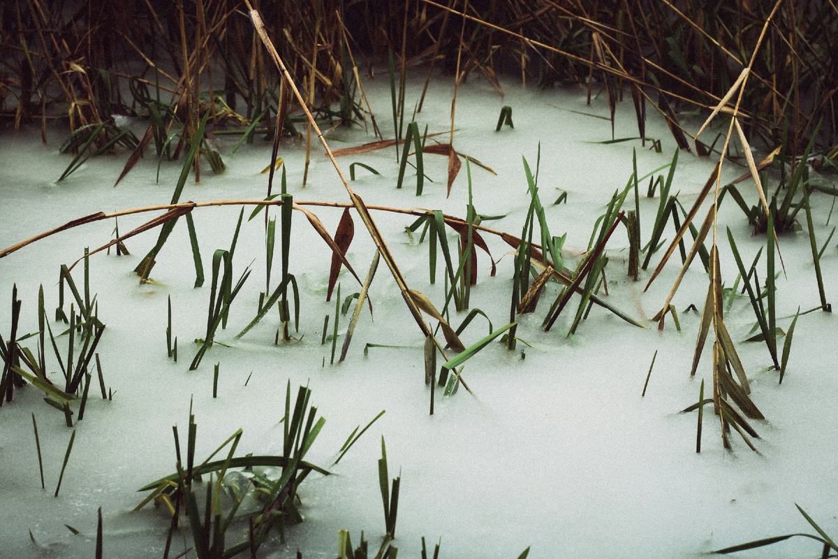 Фото: Nastia Petruk