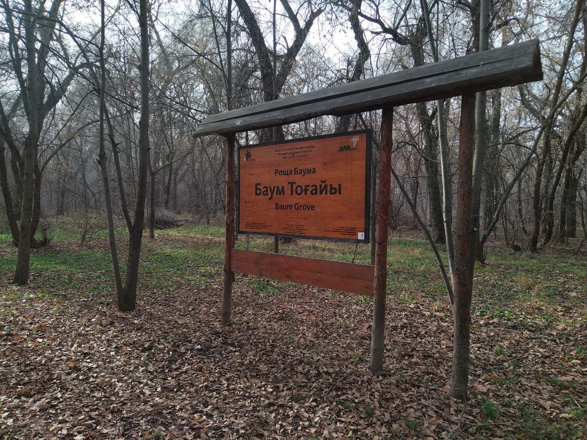 Перед вами, возможно, крупнейшая зелёная зона города со своей историей!…