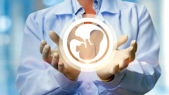    В России может родиться 180 тысяч детей при помощи ЭКО к концу 2030 года Роман Захаров