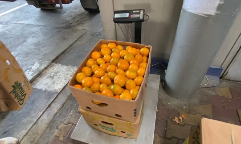    Фото пресс-службы Краснодарской таможни