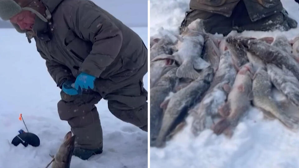 Фото: скриншот видео 