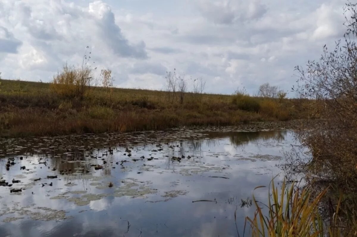    В Переволоцком районе утонул рыбак