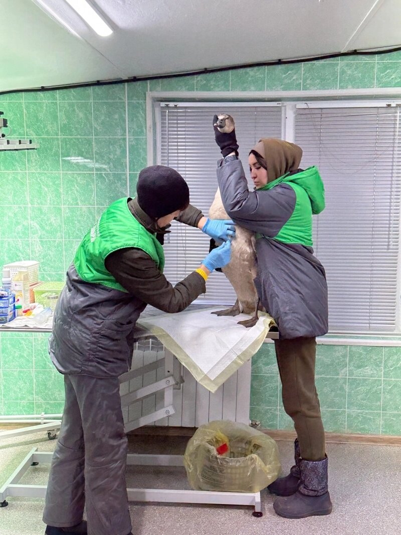    Фото: Ульяновский зоопарк