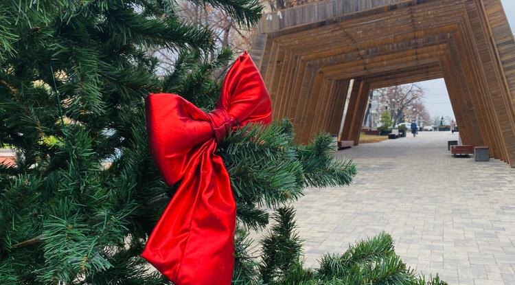 Фото: Екатерина Сирогитан