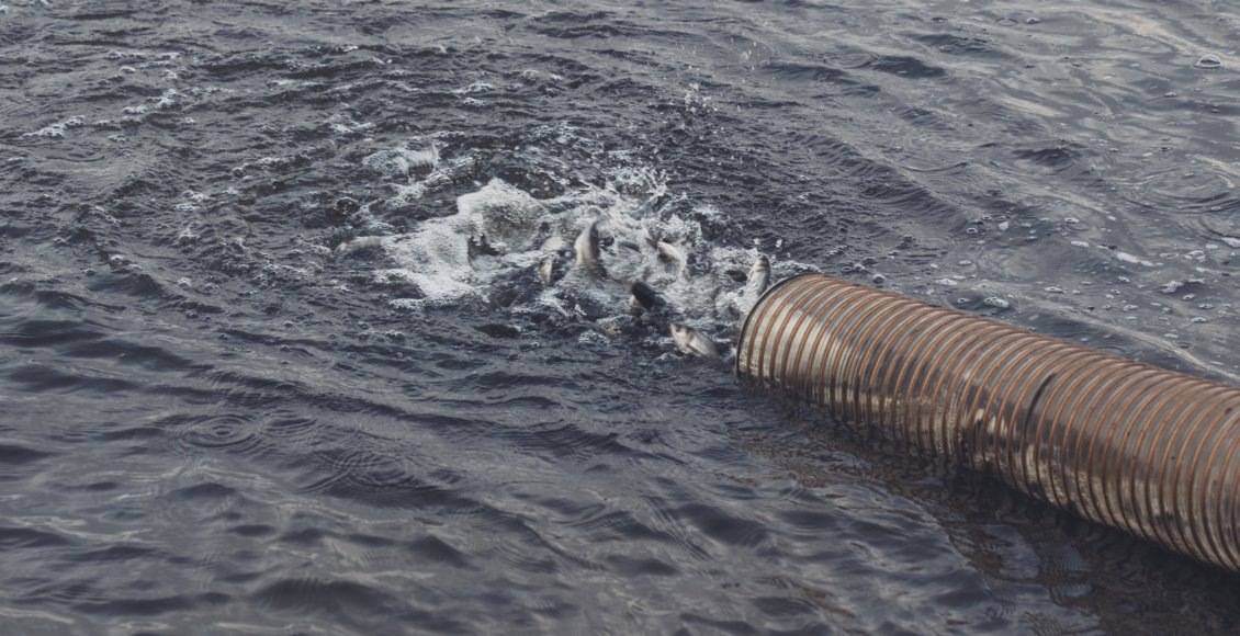    Фото: Калининская АЭС