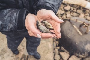    Фото: Калининская АЭС