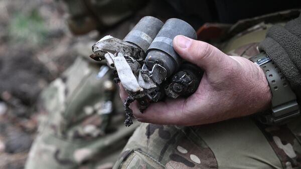    © Sputnik / Константин Михальчевский