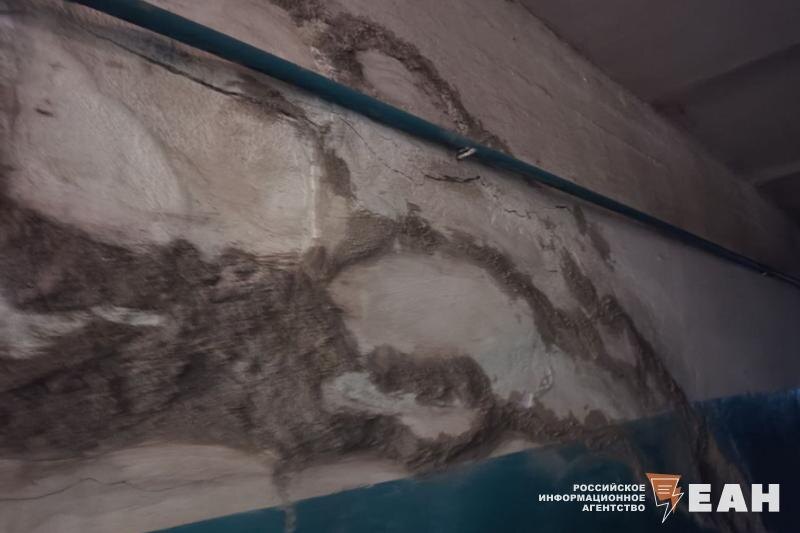    ЕАН / Наросты плесени на стенах в коридоре общежития