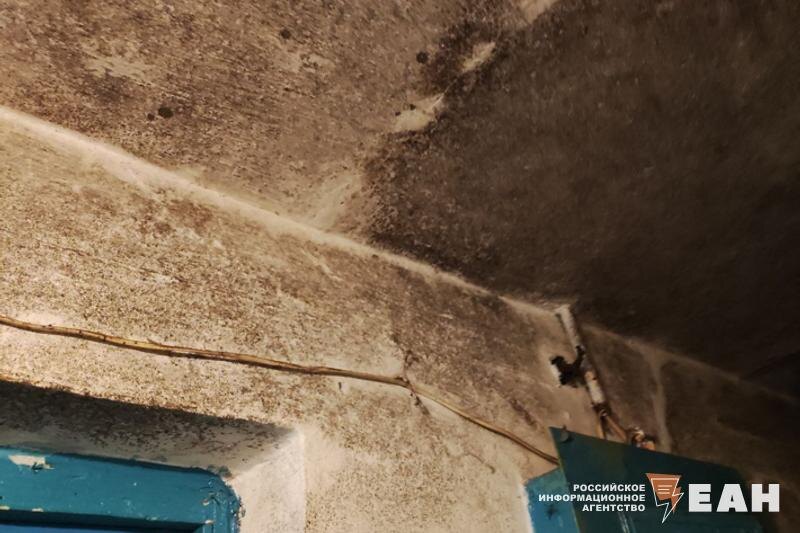    ЕАН / Поля плесени на потолке коридора общежития