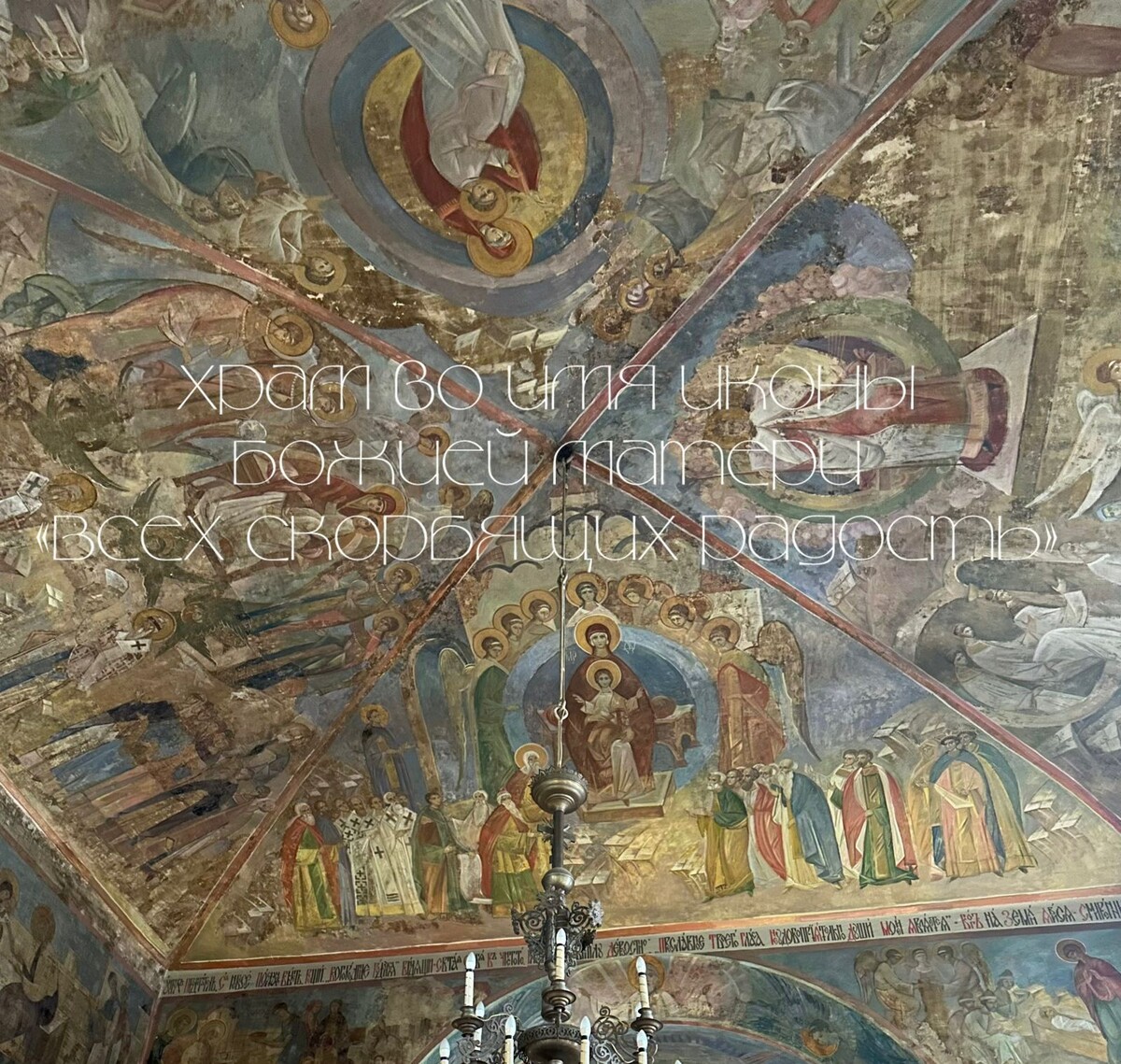 Фото: Алиса в Петербурге