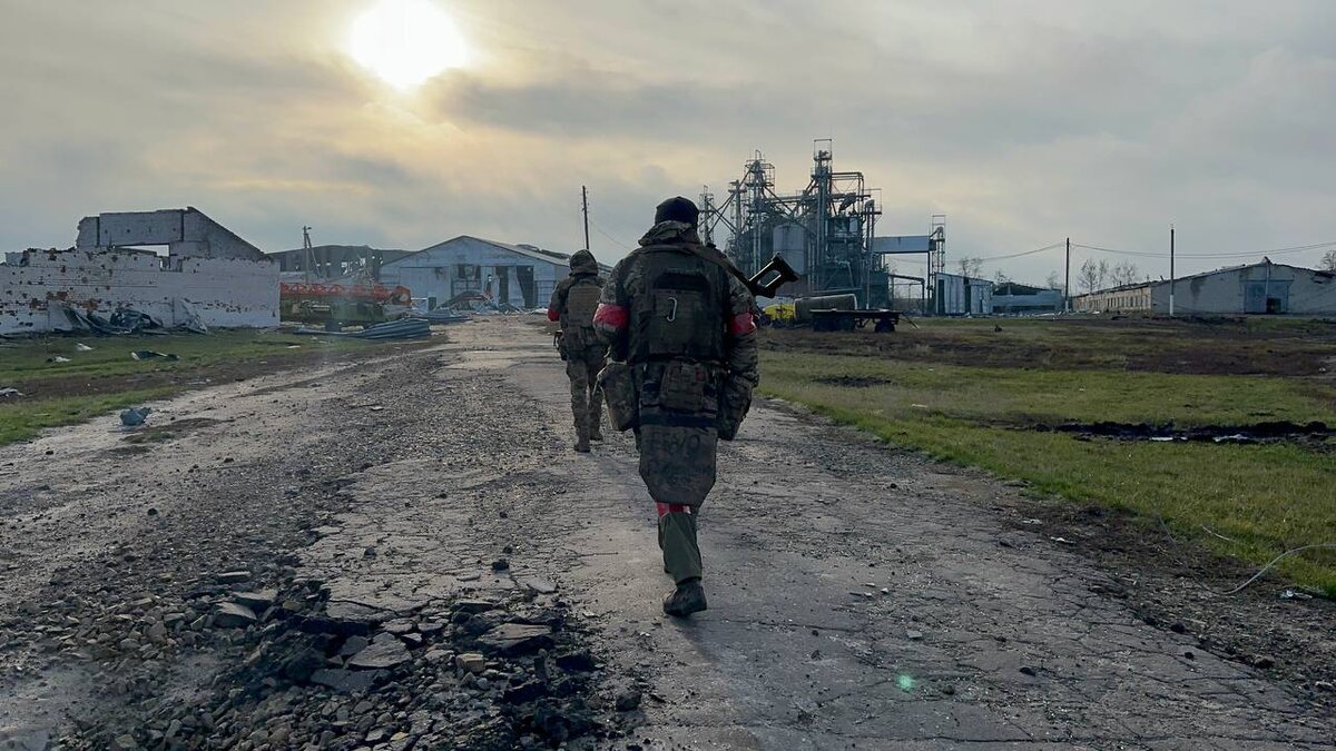 Фото из репортажа военного корреспондента Александра Коца «Ольговский лес», 2024.