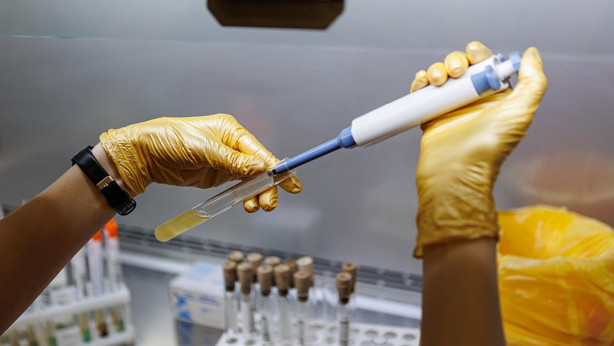    Фото: Антон Вергун