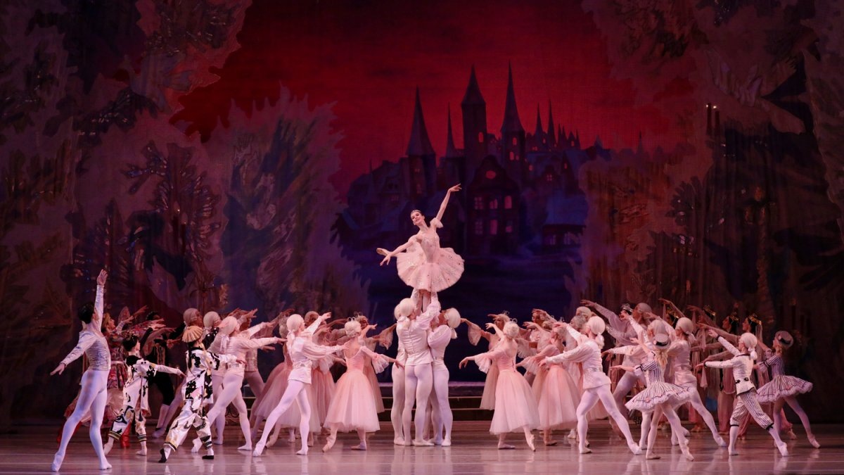 Фото из интернета.