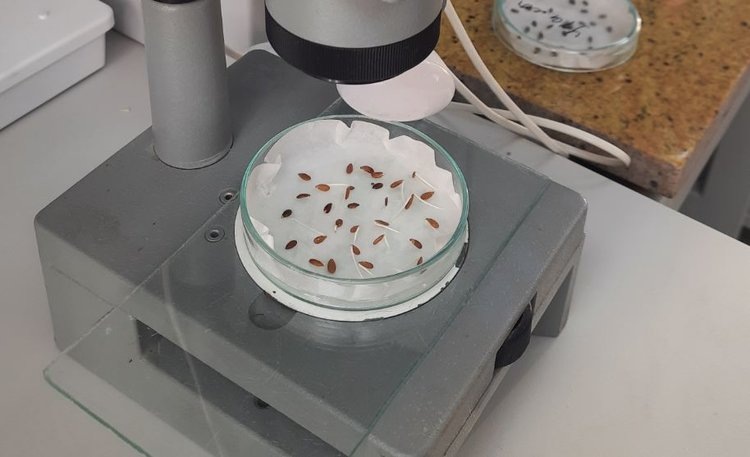    Башкортостан отправляет продовольственный лен в Афганистан