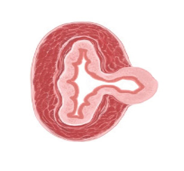 Изображение из свободного доступа