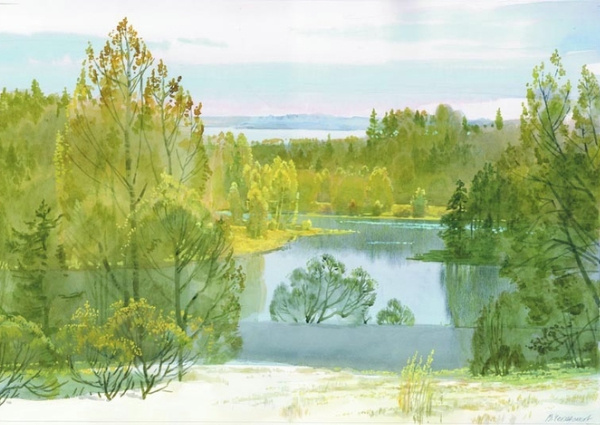 �������� ����������� : svistanet.com� � ok.ru�